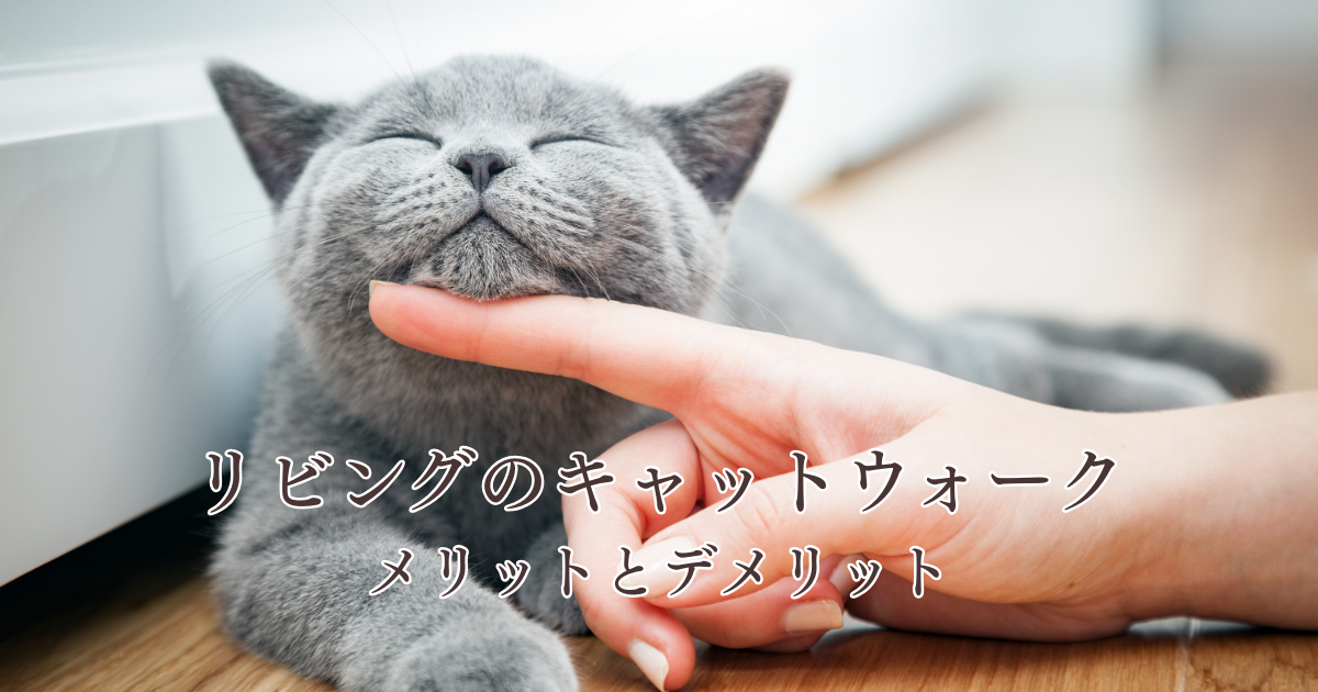 リビングのキャットウォークのメリットとデメリットとは？猫と快適な暮らしを実現するために.png