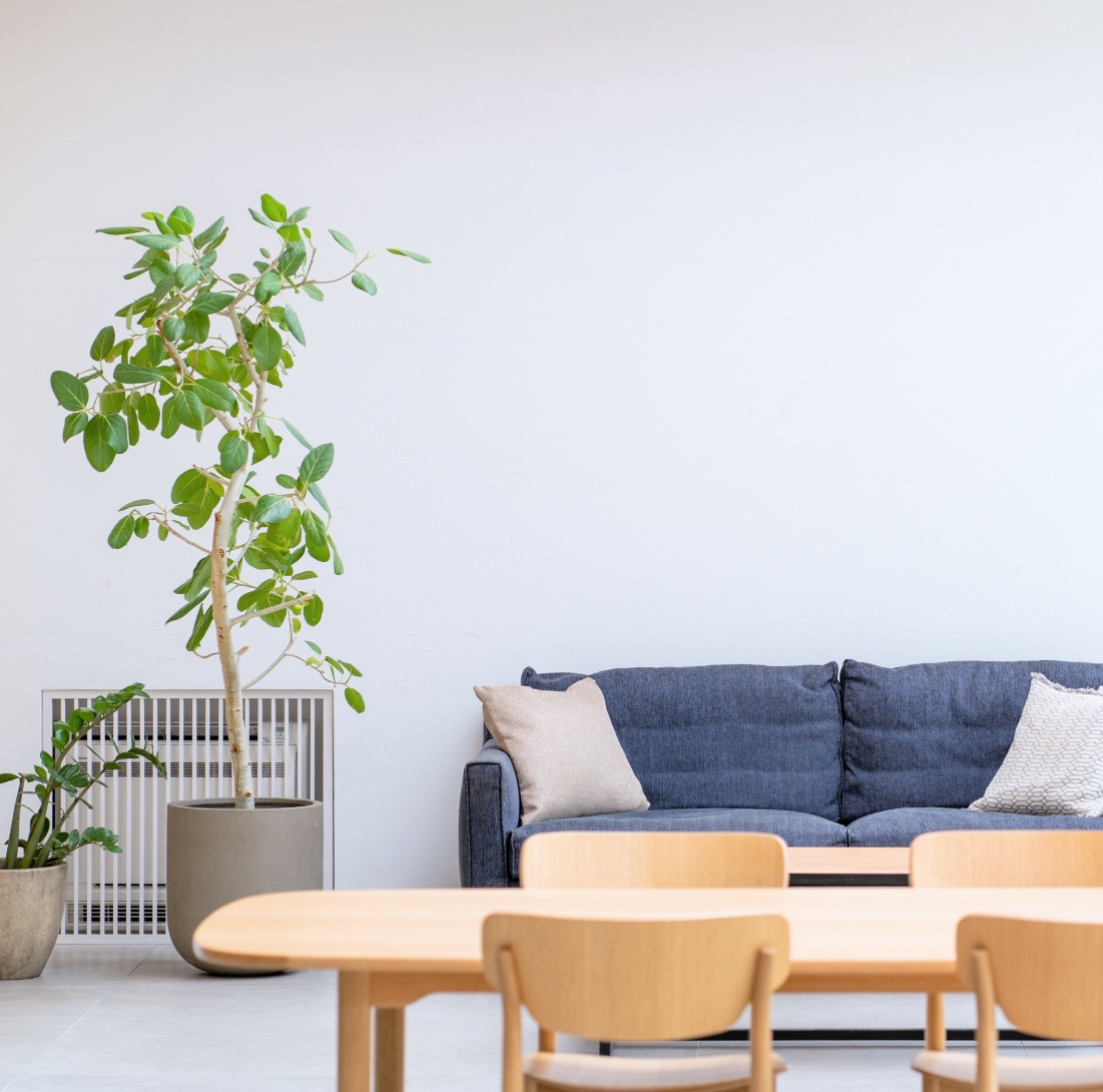 シンプルナチュラルなリビング