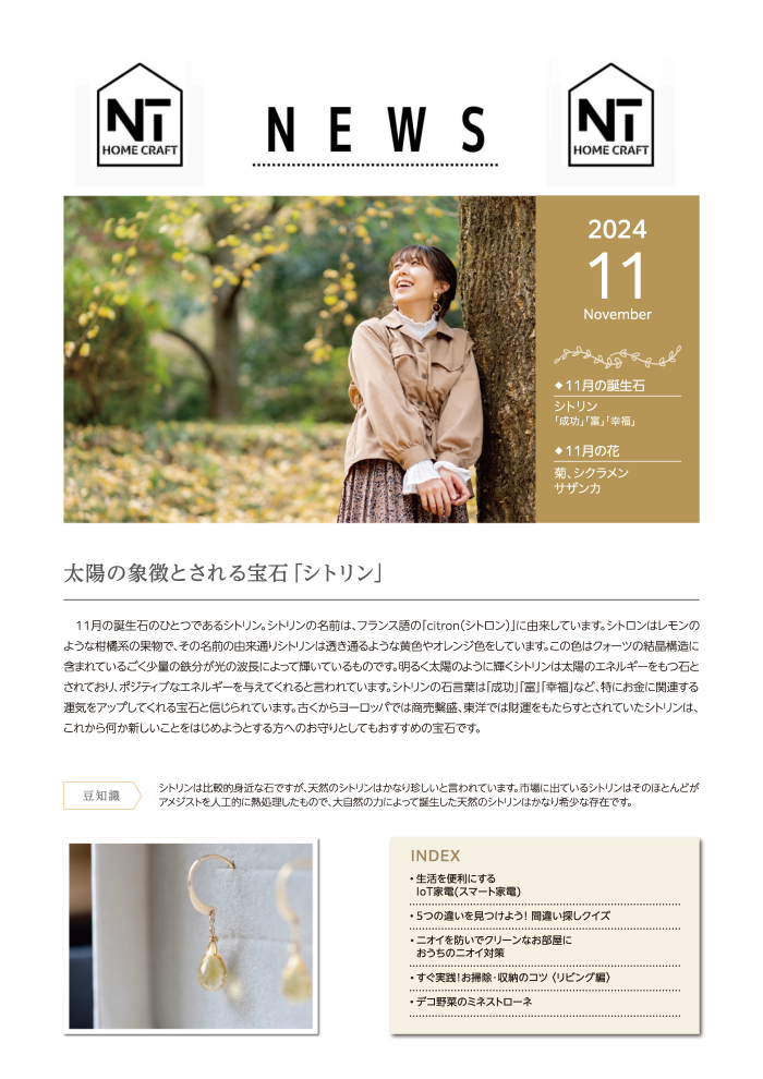 【NEWS】2024年11月号掲載しました！